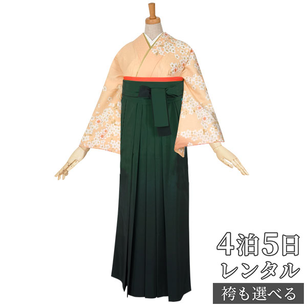 【レンタル】袴 レンタル 先生 女 袴セット 教員 職員 先生〔HG104〕 薄オレンジ 枝垂れ桜に扇面 ポリエステル 卒業式 袴 フルセット 女性 はかま ハカマ レンタル 貸衣装 かしいしょう 送料無料(一部地域を除く)|京都着物レンタル夢館
