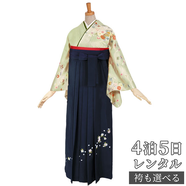 【レンタル】袴 レンタル 先生 女 袴セット 教員 職員 先生〔HG145〕 黄緑クリーム　露芝吹き寄せに扇面 正絹 卒業式 袴 フルセット 女性 はかま ハカマ レンタル 貸衣装 かしいしょう 送料無料(一部地域を除く) 18,900円