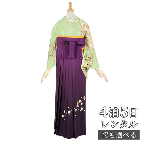 【レンタル】袴 レンタル 先生 女 袴セット 教員 職員 先生〔HG179〕 黄緑　菊に花々 正絹 卒業式 袴 フルセット 女性 はかま ハカマ レンタル 貸衣装 かしいしょう 送料無料(一部地域を除く)