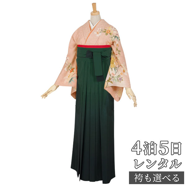 訪問着 約155cm 袴 教員 レンタル 訳あり レンタル 袴 卒業式 レンタル かしいしょう 袴セット 袴 ピンク 先生 女 袴セット 教員 職員 先生 Hg184 ピンク 椿と桐 正絹 卒業式 袴 フルセット 女性 はかま ハカマ レンタル 貸衣装 かしいしょう