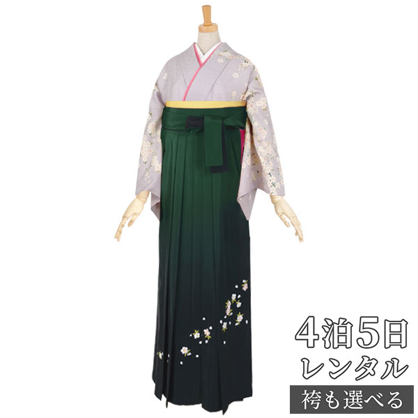【レンタル】袴 レンタル 先生 女 袴セット 教員 職員 先生〔HG188〕 うす藤 枝桜 正絹 卒業式 袴 フルセット 女性 はかま ハカマ レンタル 貸衣装 かしいしょう 送料無料(一部地域を除く)|京都着物レンタル夢館