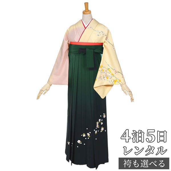 【レンタル】袴 レンタル 先生 女 袴セット 教員 職員 先生〔HG1069〕 ピンク　白梅しだれ黄桜 正絹 卒業式 袴 フルセット 女性 はかま ハカマ レンタル 貸衣装 かしいしょう 送料無料(一部地域を除く)