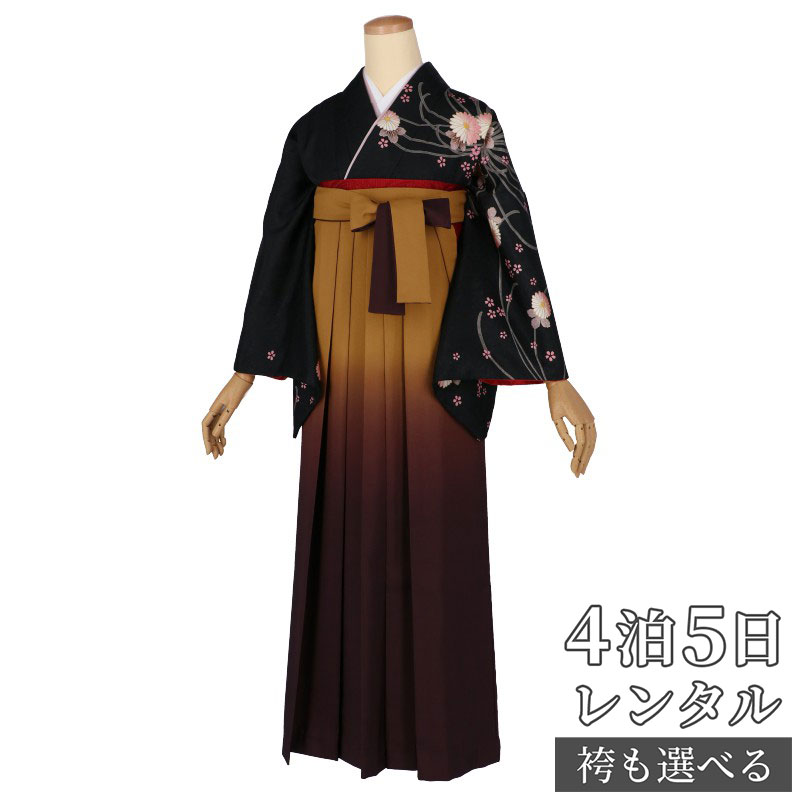 【レンタル】袴 レンタル 先生 女 袴セット 教員 職員 先生〔HG1176〕 黒　菊に小桜 ポリエステル 卒業式 袴 フルセット 女性 はかま ハカマ レンタル 貸衣装 かしいしょう 送料無料(一部地域を除く)