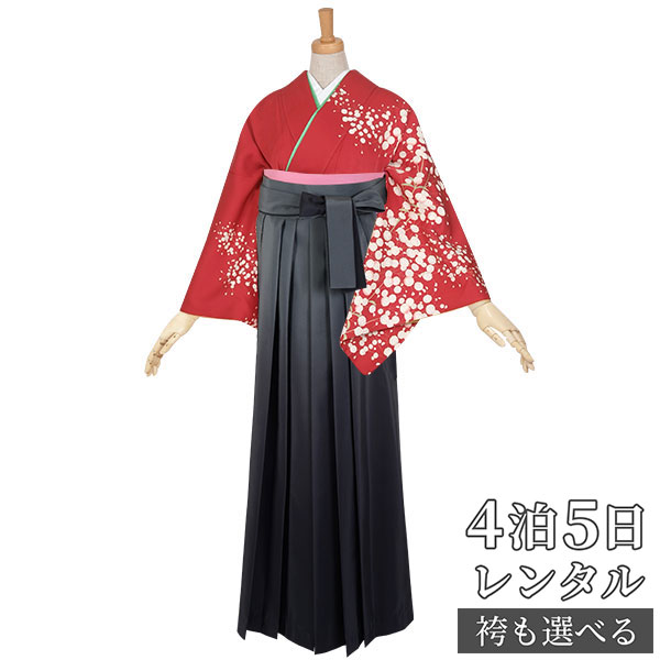 【レンタル】袴 レンタル 先生 女 袴セット 教員 職員 先生〔HG284〕 赤　かすみ草袴 正絹 卒業式 袴 フルセット 女性 はかま ハカマ レンタル 貸衣装 かしいしょう 送料無料(一部地域を除く)