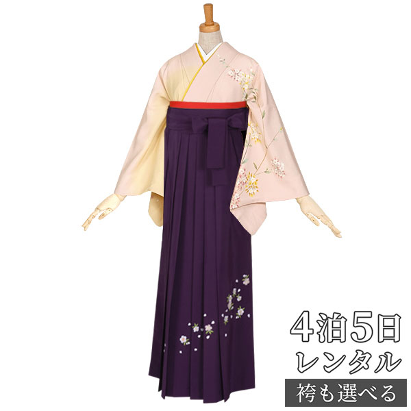 楽天市場】【レンタル】袴 レンタル 先生 女 袴セット 教員 職員 先生