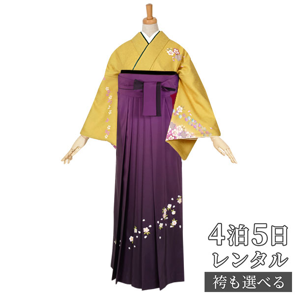【レンタル】袴 レンタル 先生 女 袴セット 教員 職員 先生〔HG389〕 黄 彩色ぼかし小桜 正絹 卒業式 袴 フルセット 女性 はかま ハカマ レンタル 貸衣装 かしいしょう 送料無料(一部地域を除く)|京都着物レンタル夢館