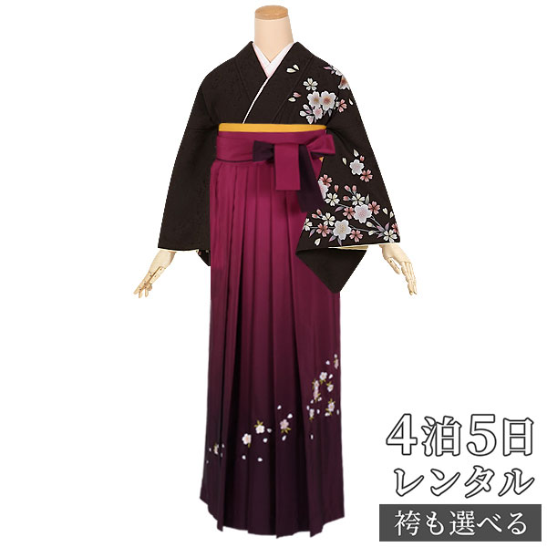 【レンタル】袴 レンタル 先生 女 袴セット 教員 職員 先生〔HG528〕 黒 枝垂桜 正絹 卒業式 袴 フルセット 女性 はかま ハカマ レンタル 貸衣装 かしいしょう 送料無料(一部地域を除く)|京都着物レンタル夢館