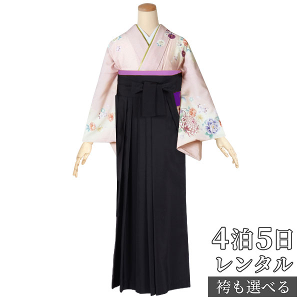 【レンタル】乙葉 袴 レンタル 先生 女 袴セット 教員 職員 先生〔HG611〕 ピンク クリームぼかし　菊と手鞠 ポリエステル 卒業式 袴 フルセット 女性 はかま ハカマ レンタル 貸衣装 かしいしょう 送料無料(一部地域を除く)｜京都着物レンタル夢館