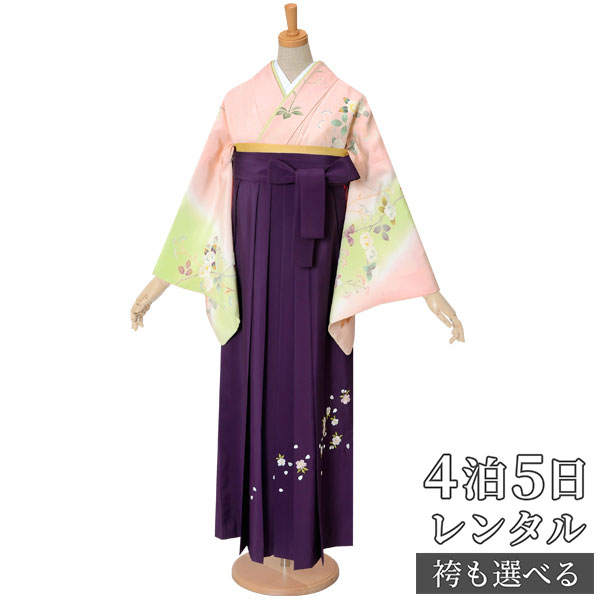 【レンタル】袴 レンタル 先生 女 袴セット 教員 職員 先生〔HG868〕 ピンク×黄緑　椿尽し 正絹 卒業式 袴 フルセット 女性 はかま ハカマ レンタル 貸衣装 かしいしょう 送料無料(一部地域を除く)