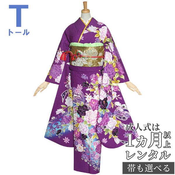 七五三きもの着付け御引き回し