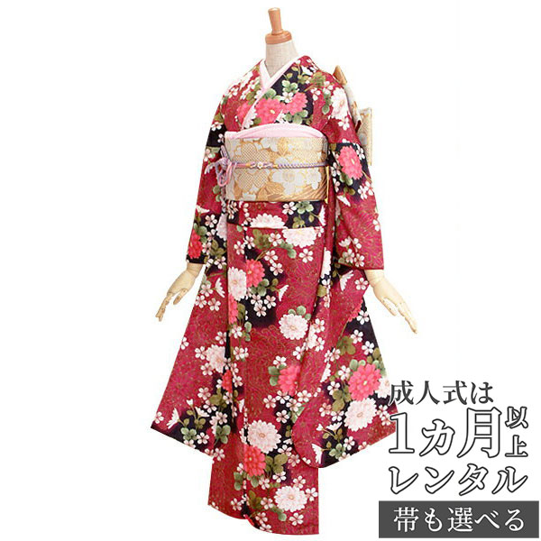 【成人式 振袖 レンタル】RS1446黒　大輪の菊フルセット 往復送料無料 /女性和服/結婚式 和服 着物セット/小物 セット 振り袖 【レンタル】【訳あり】