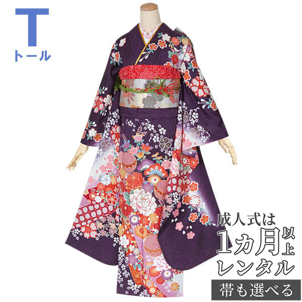 【成人式 振袖 レンタル】RS1494 正絹 紫　枝垂桜に花鞠フルセット 往復送料無料 /女性和服/結婚式 和服 着物セット/小物 セット 振り袖 【レンタル】