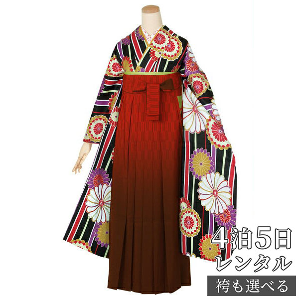 着物セット 激安通販の 袴セット 女 卒業式 レンタル 袴 レンタル 和遊日 卒業式袴セット 送料無料 レディース 女 貸衣装 フルセット 振袖 袴 Rr1474 黒 縞に変わり菊 Melta Net