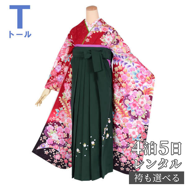 七五三きもの着付け御引き回し