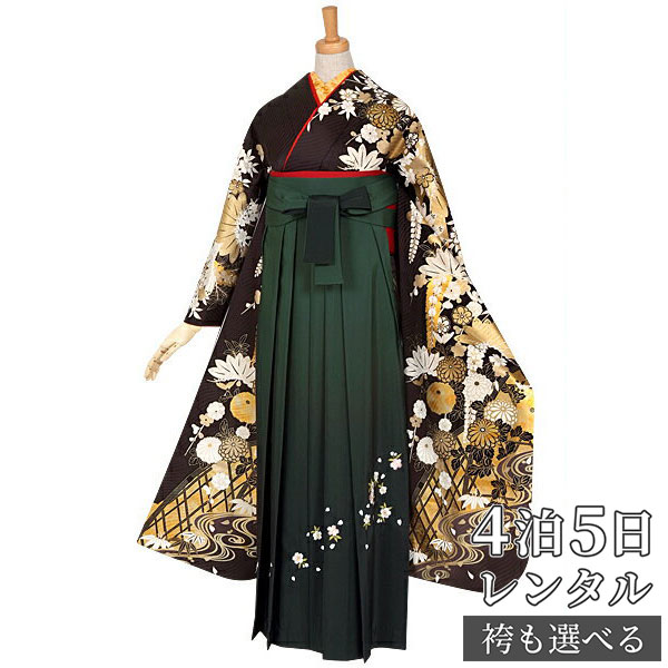 【レンタル】【訳あり】袴 レンタル 卒業式 女 袴セット 振袖＆袴〔RR717〕「黒　金彩　菊花に藤松文様」 フルセット 貸衣装 女 レディース 送料無料