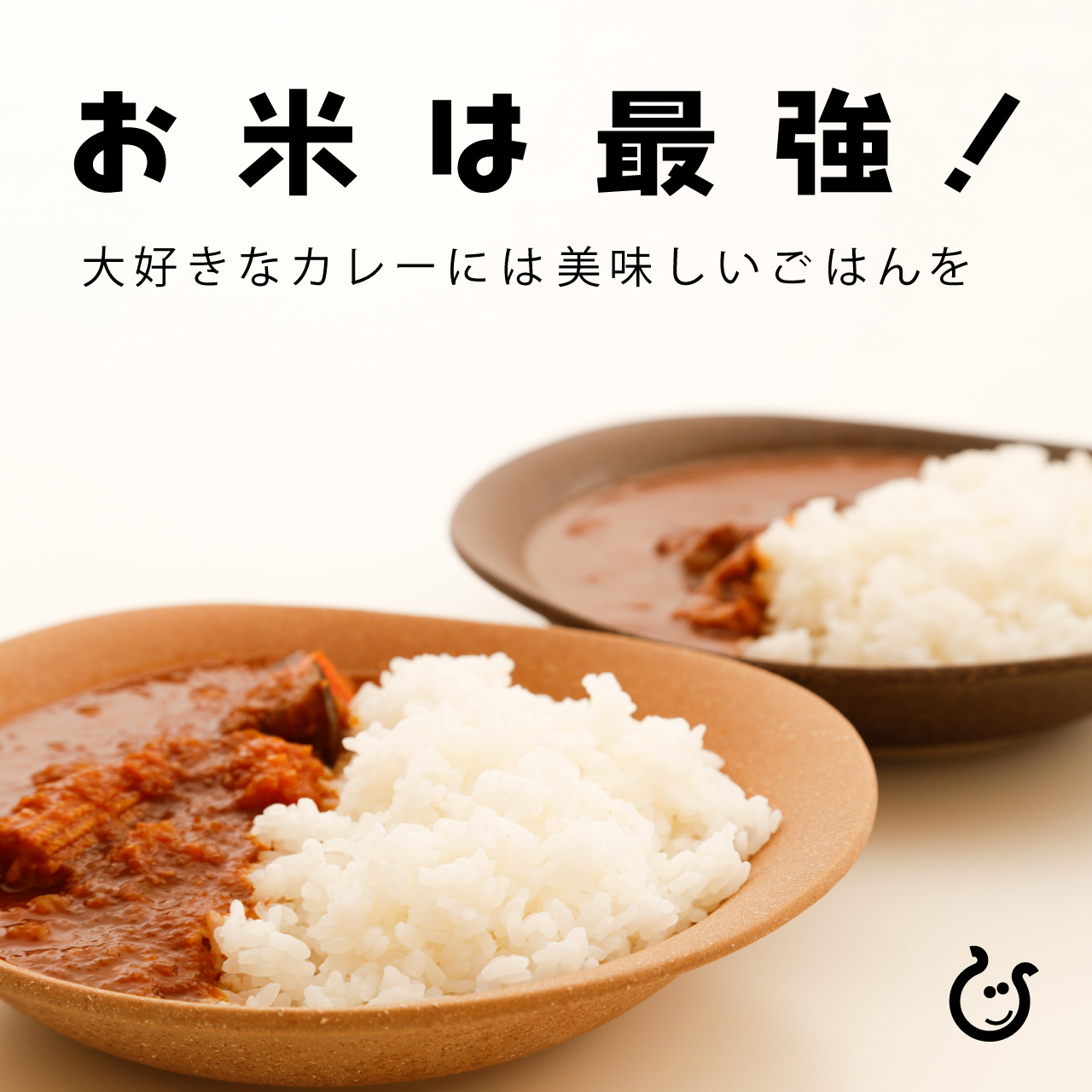 白米 玄米 福袋米 20kg 10kg×2袋 滋賀県産 令和7年 1品種でのお届け