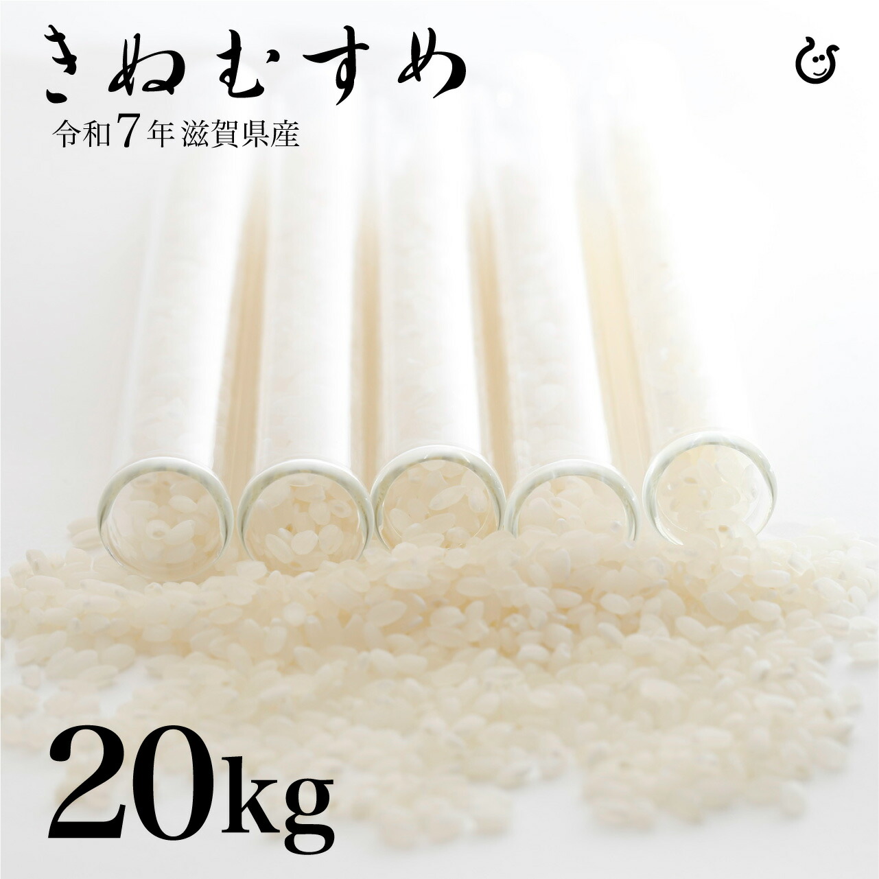 楽天市場】新米 無洗米 きぬむすめ 20kg 10kg×2袋 滋賀県産 令和7年