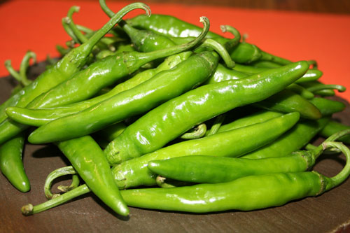 楽天市場 熊本県あさぎり町産 辛口 青唐辛子1kg 1000g へた無し 国産 品種 朝鮮なんばん 熊本名物本舗 あさぎり物産館