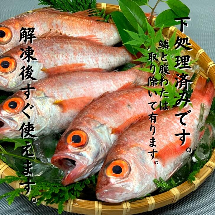 市場 のどぐろ 大サイズ 父の日 下処理済み 母の日 ギフト ノドグロ 急速冷凍 プレゼント 合計約1kg 約250g 4匹