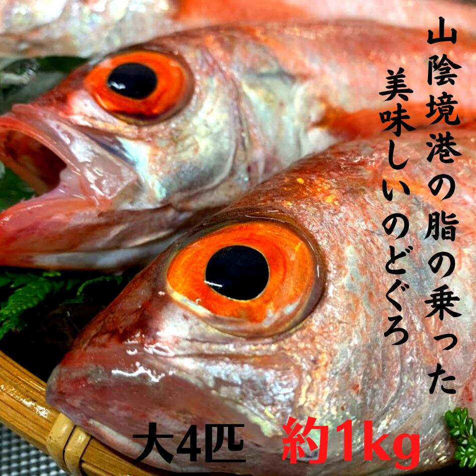 市場 のどぐろ 大サイズ 父の日 下処理済み 母の日 ギフト ノドグロ 急速冷凍 プレゼント 合計約1kg 約250g 4匹
