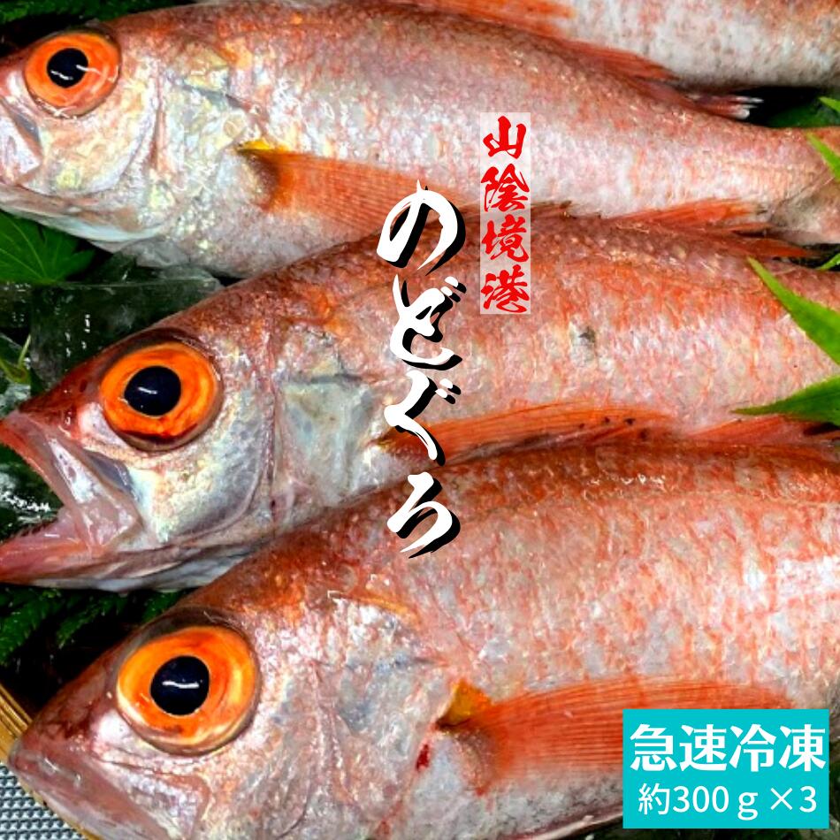 在庫僅少 のどぐろ 急速冷凍 約300g 3匹 合計約900g 大サイズ 下処理済み 母の日 父の日 ギフト プレゼント ノドグロ アカムツ 鮮魚 お刺身 塩焼き お煮付け 美味しい 干物 ギフト 贈り物 贈答用 山陰 境港産 高級魚 Ninki Css Edu Om