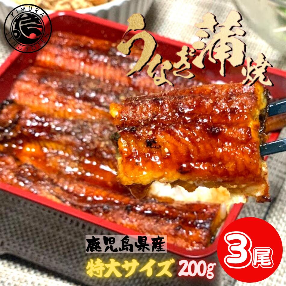 国産うなぎ 蒲焼き 3尾セット 鹿児島 特大サイズ 200g前後 鰻 ウナギ