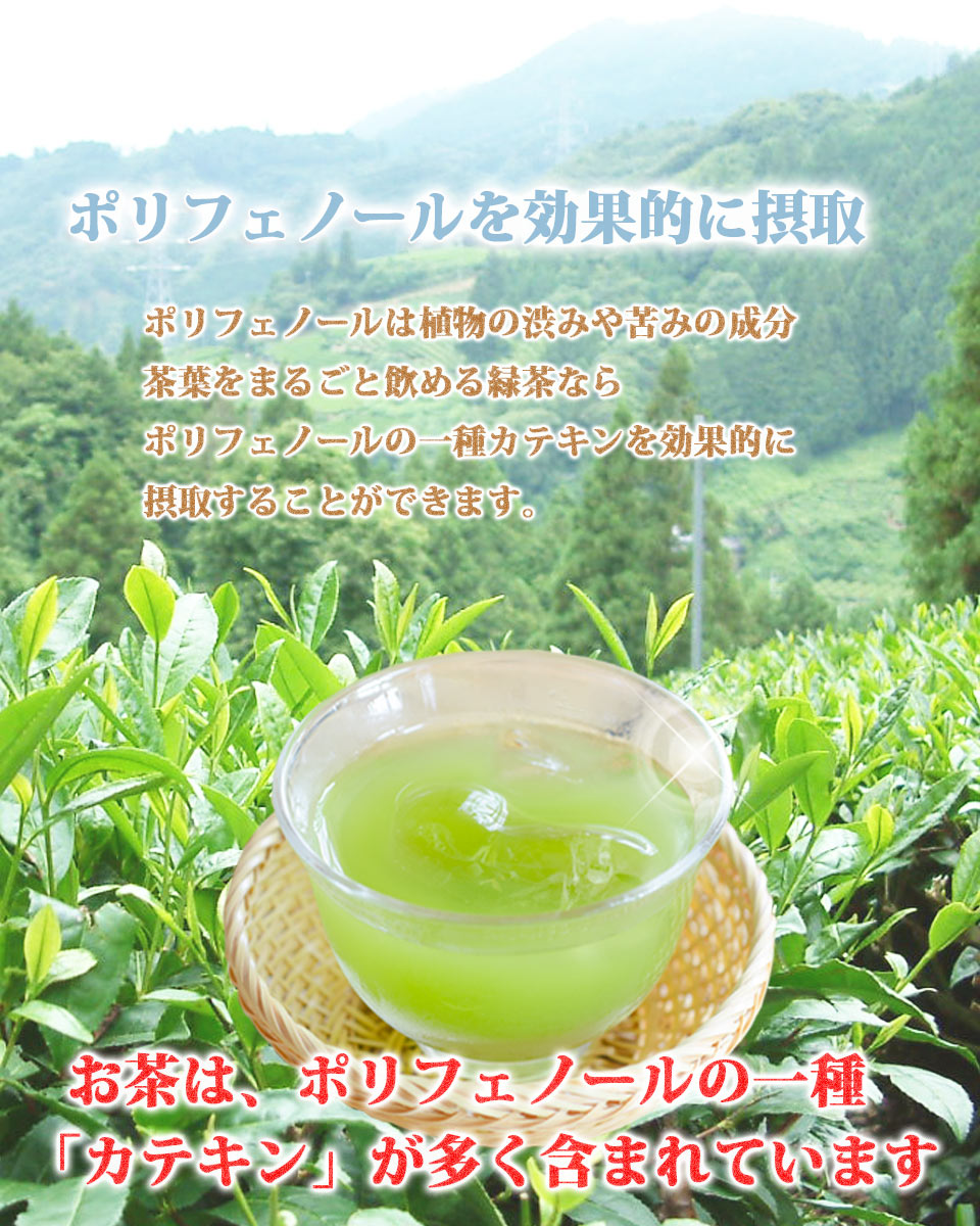 楽天市場 粉末緑茶 粉末緑茶 粉末煎茶 50ｇ 掛川深蒸し茶 抹茶 深蒸し茶 深蒸し掛川茶 掛川深蒸し茶 茶和家 木村園 楽天市場店