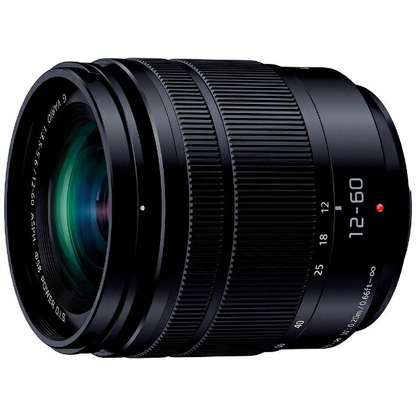 パナソニック H-FS12060 交換用レンズ LUMIX G VARIO 12-60mm F3.5-5.6 ASPH.POWER O.I.S. HFS12060