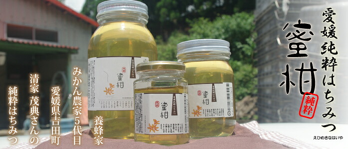 楽天市場】ご予約【入荷次第発送】愛媛県産 純粋みかん蜂蜜 500g