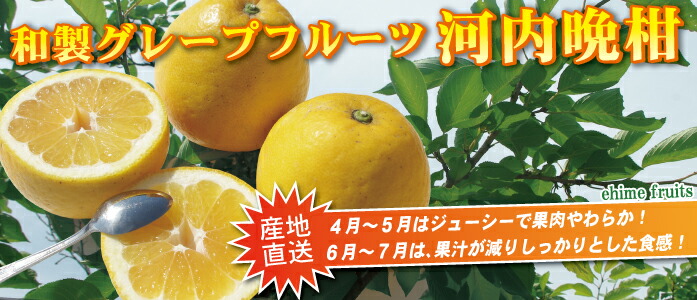 チャンドラポメロ　20キロ箱込み きなはいや - チャンドラポメロ｜Yahoo!ショッピング
