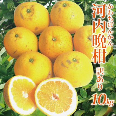 楽天市場】【値下げしました♪】 愛媛産 家庭用 河内晩柑 １０kg 送料