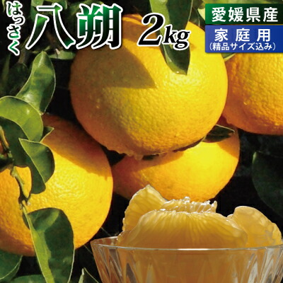 楽天市場】愛媛産 百花蜂蜜500g・1200g・1200g2本・1200g3本・1200g6本