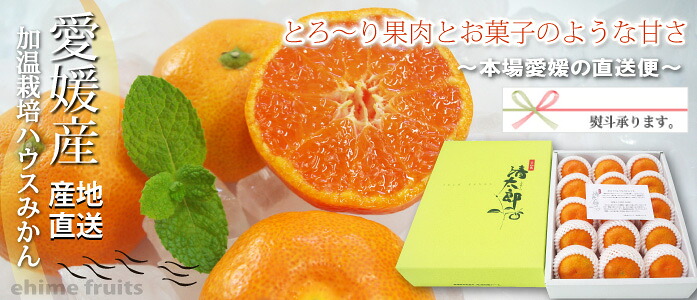 楽天市場】【完売しました】愛媛県産 ブラッドオレンジ モロ 3kg