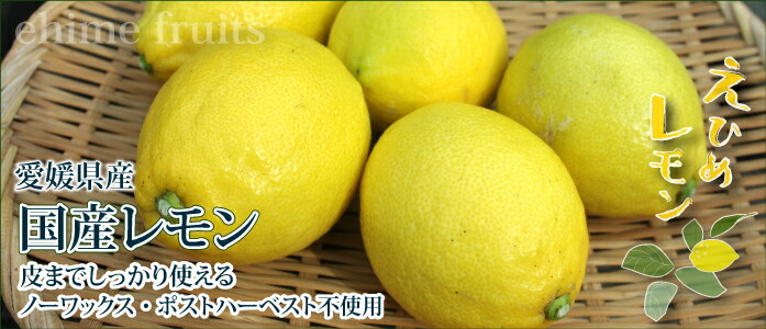 楽天市場】愛媛県産 訳あり レモン 2kg・5kg・10kg 国産・ノーワックス