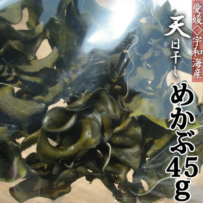 令和4年産 トラスト 宇和海産 オーバーのアイテム取扱☆ 乾燥めかぶ ４５ｇ