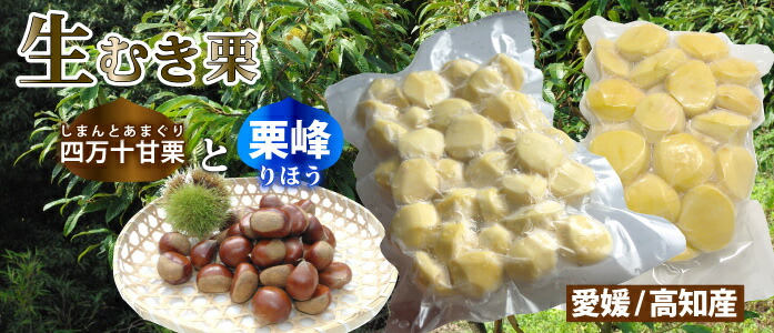 ‼️専用‼️ 愛媛県産　むき栗　１．5k 愛媛県産 むき黄栗甘露煮 1級ホール 850g｜栗｜パン、お菓子の材料