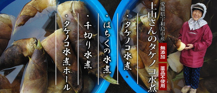 楽天市場】 山の幸 > 愛媛産 たけのこ水煮（モウソウ／ハチク） : きな