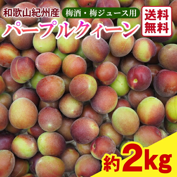 【送料無料】＜梅酒用・梅ジュース用＞パープルクィーン（2Lサイズ） 約2kg 【インターネット限定】 ＪＡ紀南のオリジナル品種　青梅　小梅　パープルクイーン　パープル小梅　ピンク色　産直直送　紀州産　和歌山県産　梅シロップ　梅しごと