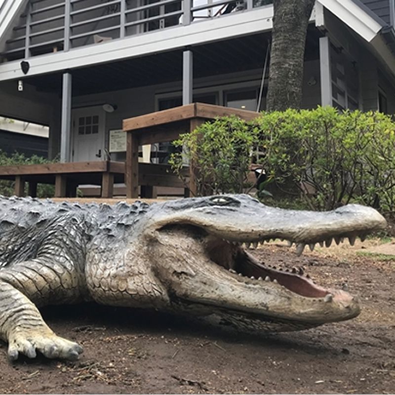 楽天市場】ワニの置物 クロコダイル ビッグサイズ リアル 動物