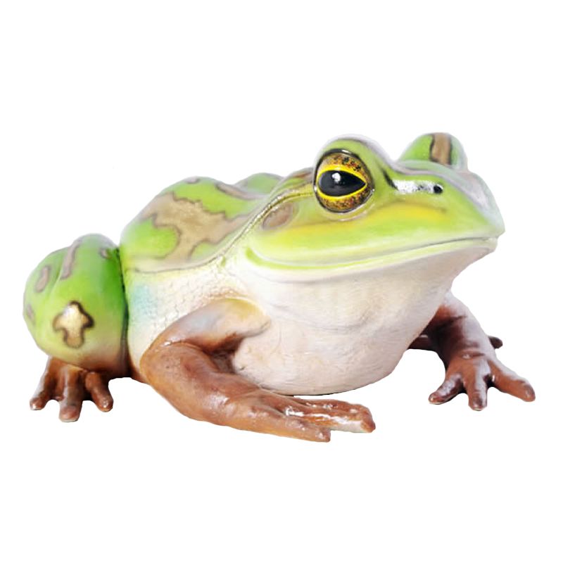 楽天市場】FRPアニマルオブジェ 子キンスジアメガエル Green and
