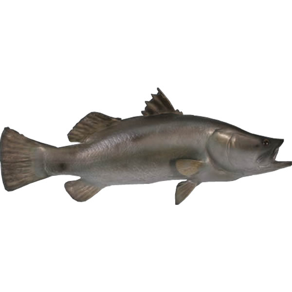 毛の荒物 オブジェ バラマンディ 室内装飾 でき事 見せびらかす Barramundi