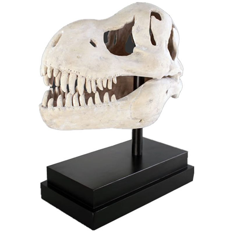 楽天市場】スケーリングされたティラノサウルス・レックス 恐竜頭部 壁