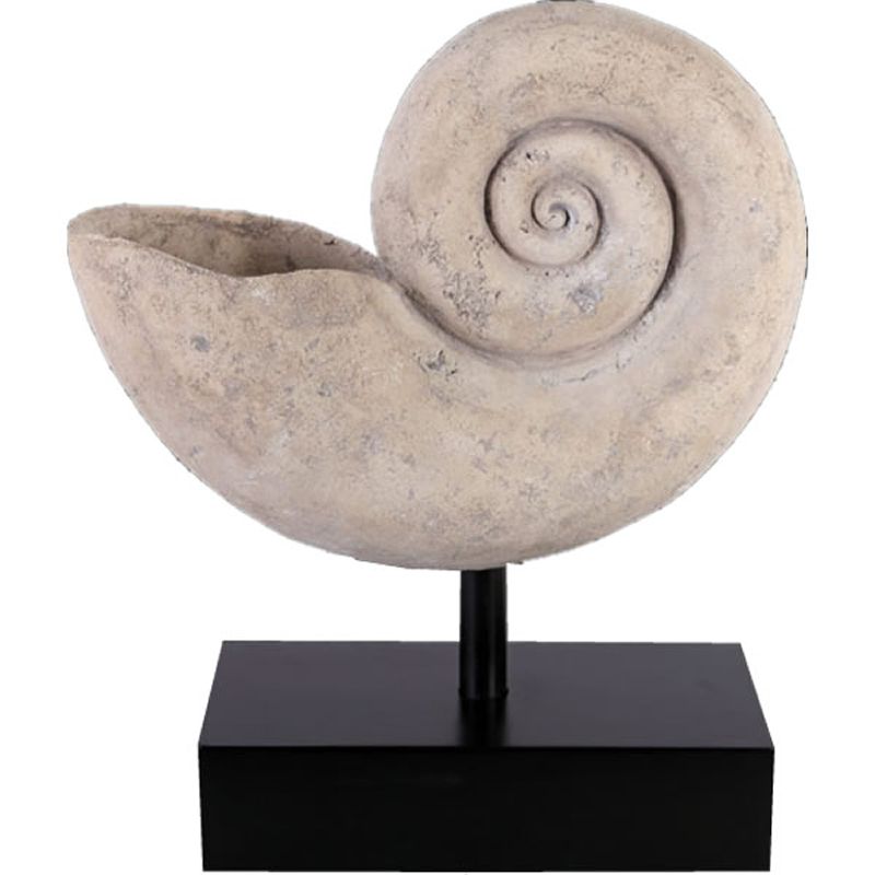 オウム貝、台座付き　貝殻 オウム貝、台座付き 貝殻 Yahoo!オークション -「オウムガイ