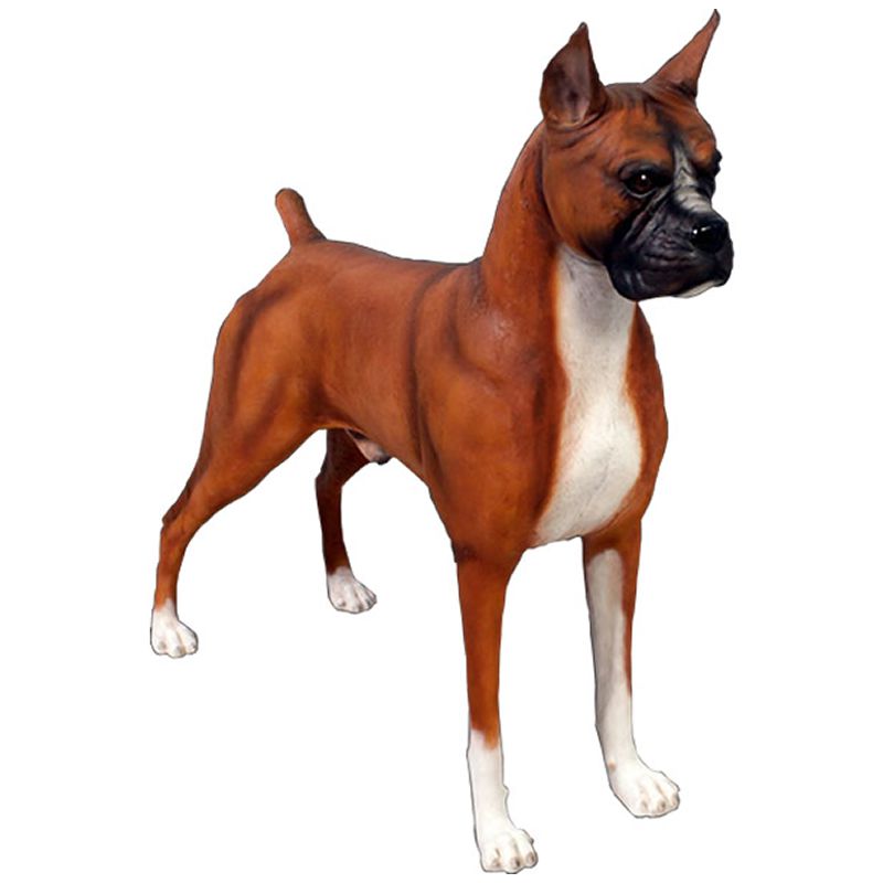 楽天市場】犬の置物 ボクサー ティーカップドッグ Aタイプ ※商品箱