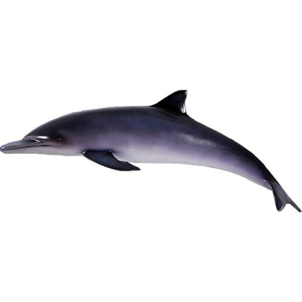 動物 オブジェ イルカ インテリア イベント ディスプレイ Dolphin