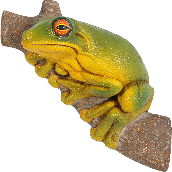 毛の荒物 オブジェ 雨ガエル 室内装飾 でき事 見せびらかす Tree Frog Small