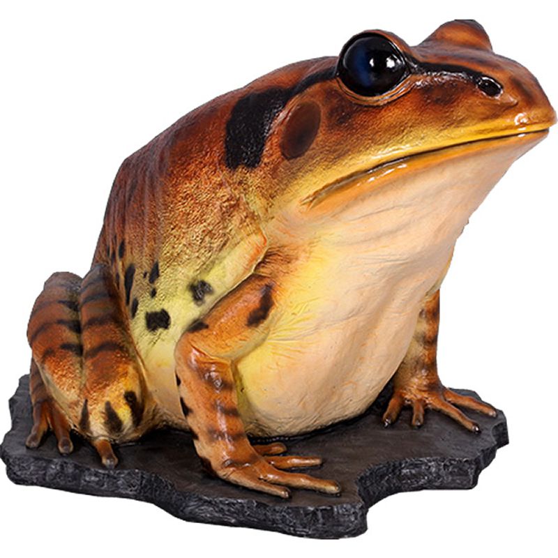 子キンスジアメガエル アニマルオブジェ リアル 置物 インテリア 軽い 子キンスジアメガエル アニマルオブジェ リアル 置物 インテリア 軽い