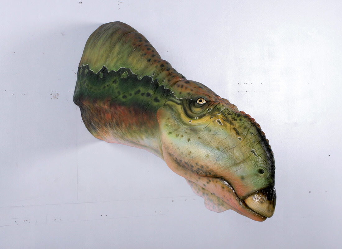 恐竜 オブジェ ムッタブラサウルスの天々 飾りつけ 室内装飾 でき事 見せびらかす Muttaburrasaurus Head