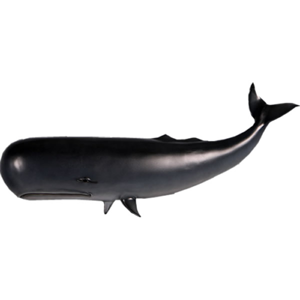 クジラの尾びれ（壁掛け）FRPアニマルオブジェ クジラの尾びれ（壁掛け）FRPアニマルオブジェ