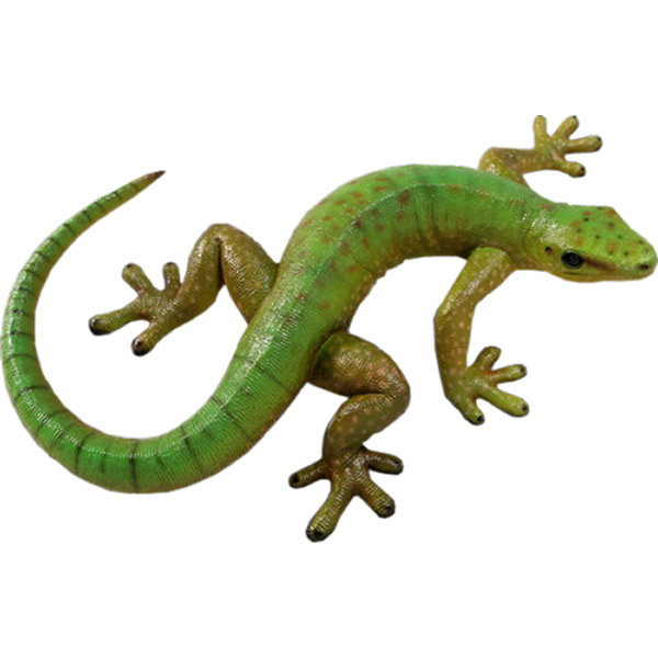 オブジェ ヤモリ 60珊 室内装飾 出来事 見せびらかす Gecko 60珊